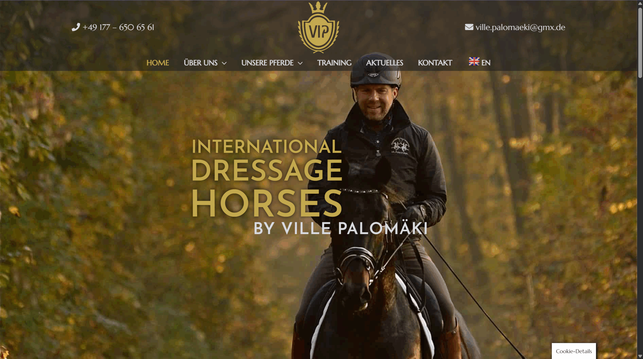 VIP DRESSAGE HORSES